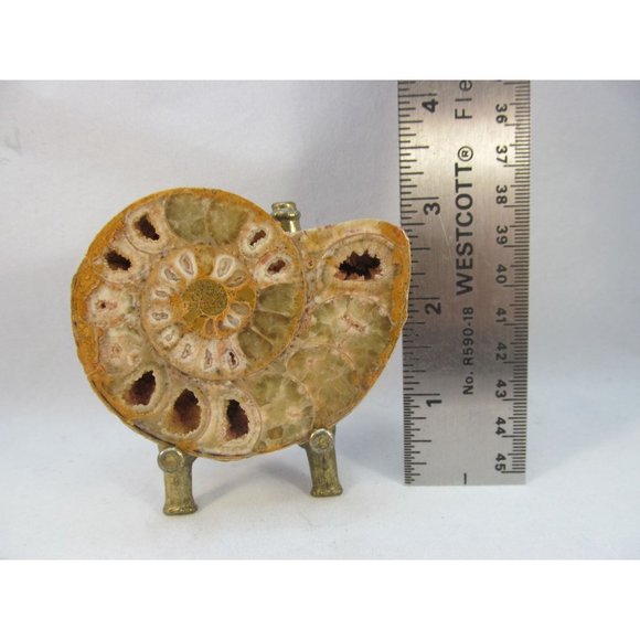 Cut Split Pair Polished Ammonite Fossil Crystal with Stands Small 3" x 2.5" - Picture 3 of 15